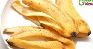 محلول البوتاسيوم للنبات من قشور الموز